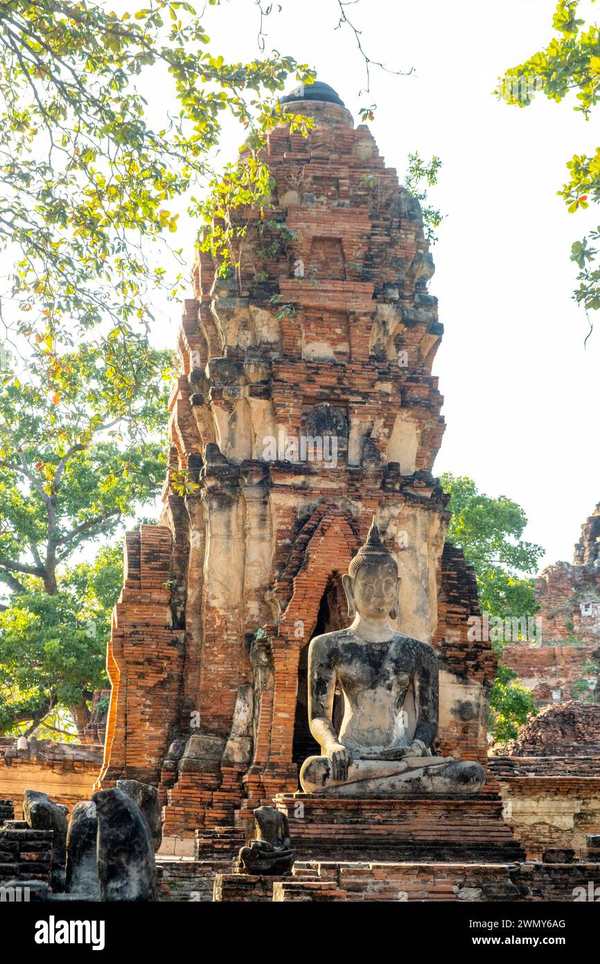 Thailandia, Ayutthaya, patrimonio mondiale dell'UNESCO, tempio Wat Phra Mahathat Foto Stock
