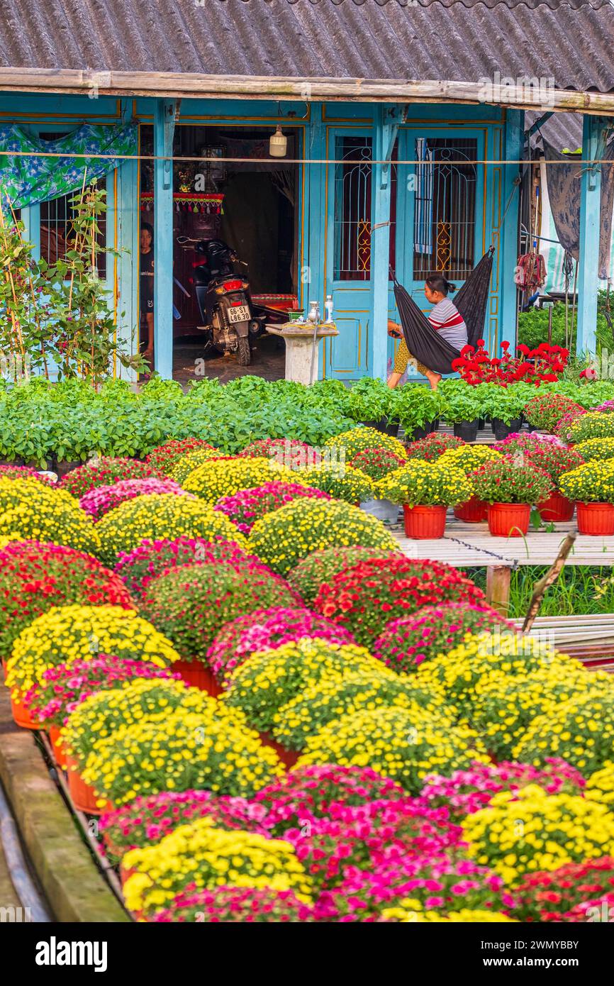 Vietnam, Delta del Mekong, sa Dec, il villaggio di fiori di sa Dec, chiamato Lang Hoa in vietnamita Foto Stock
