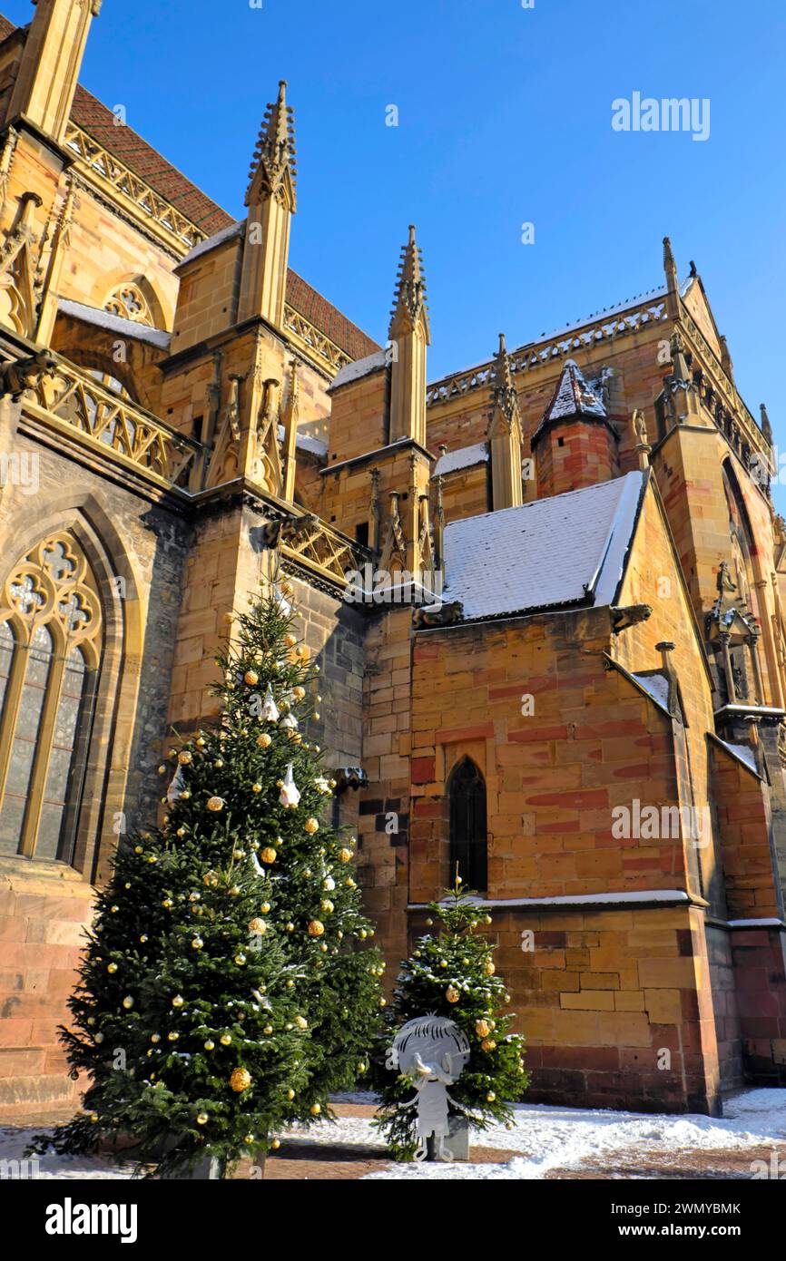 Francia, Haut Rhin, Colmar, Place de la Cathedrale, chiesa collegiata di Saint Martin del XIII secolo, albero di Natale, decorazioni, neve Foto Stock
