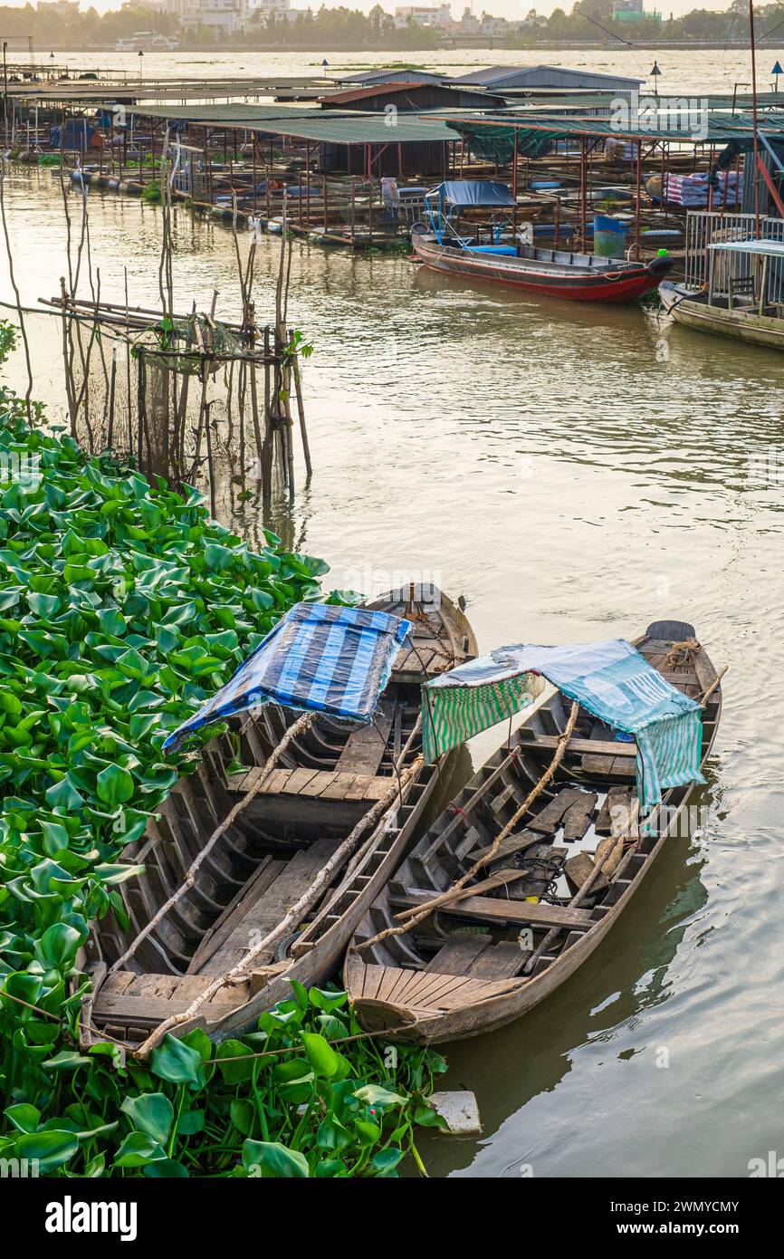 Vietnam, delta del Mekong, provincia di Vinh Long, isola di Binh, allevamento ittico nel fiume Co Chien, affluente del Mekong Foto Stock