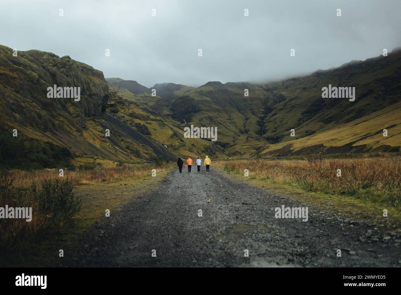 Vista posteriore di un gruppo irriconoscibile di persone che camminano su una strada panoramica di montagna in Islanda sotto il cielo coperto. Foto Stock