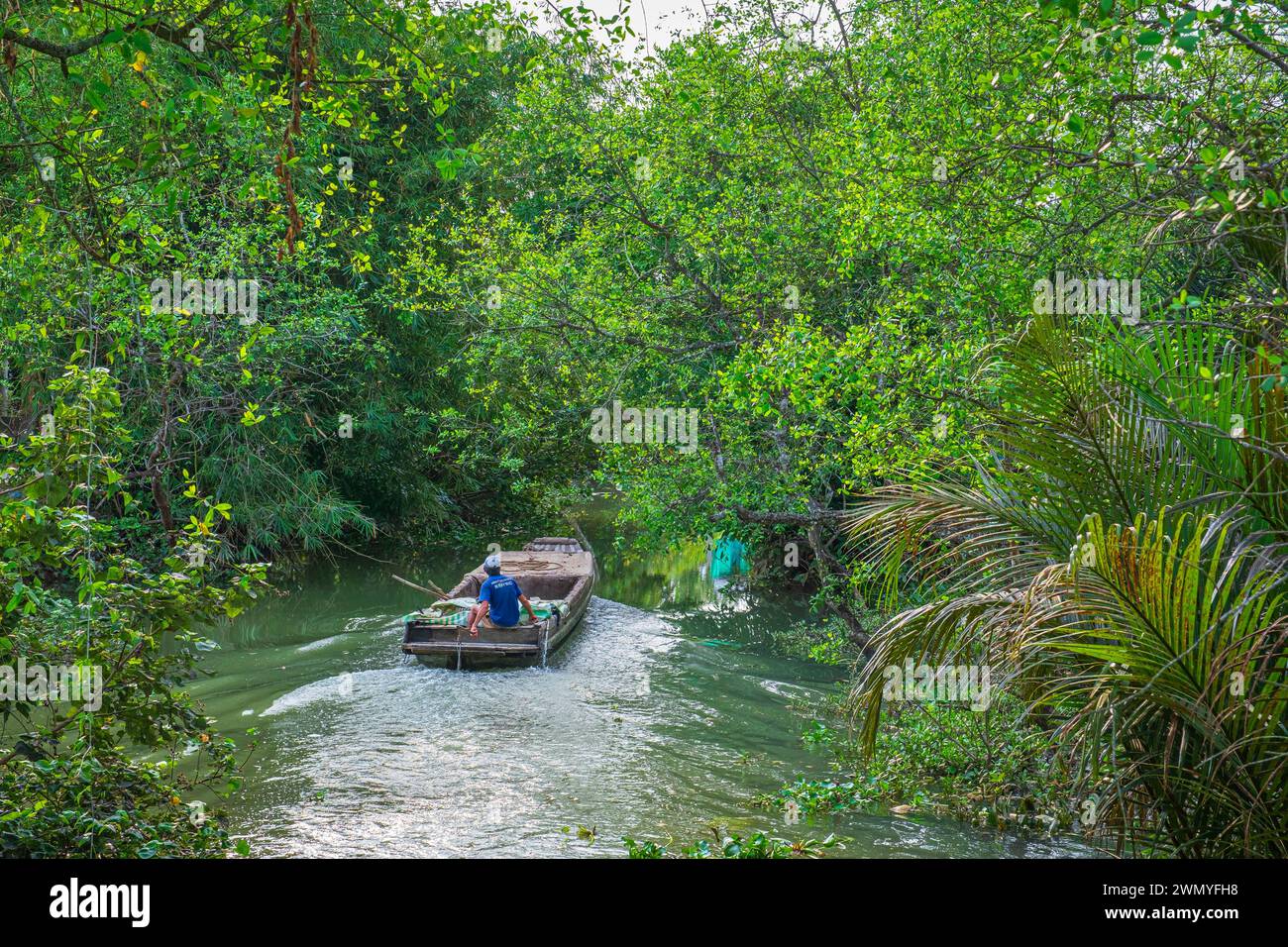 Vietnam, Delta del Mekong, provincia di Tien Giang, isola di Tan Phong, uno dei tanti canali dell'isola Foto Stock