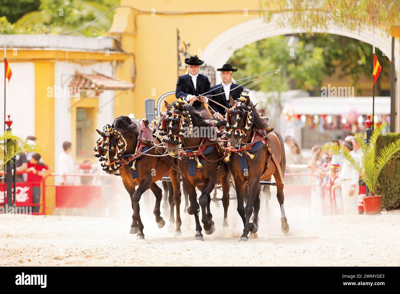 Puro cavallo spagnolo. Cavalli andalusi in imbracatura tradizionale, Feria del Caballo, Spagna Foto Stock