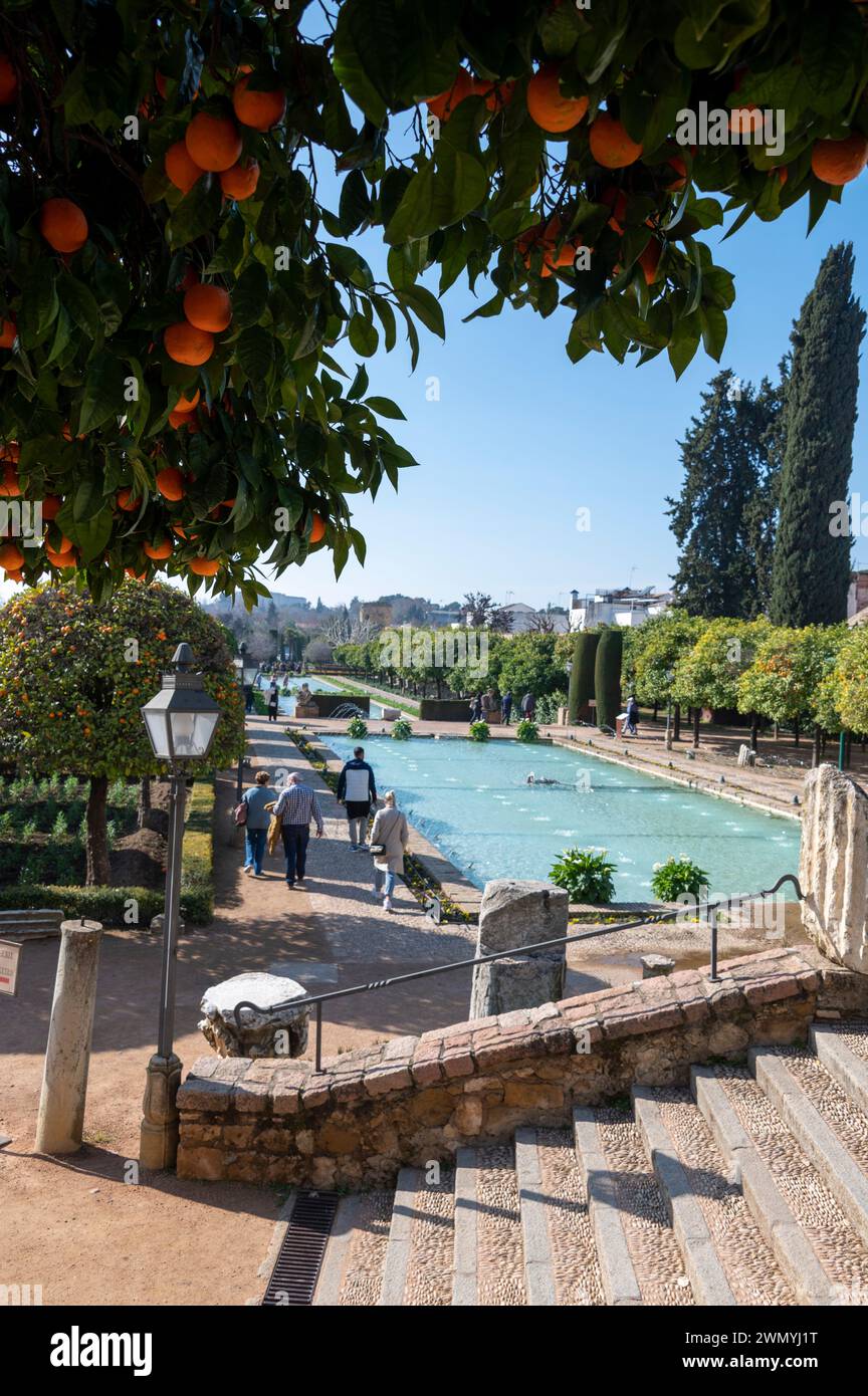 Dai giardini con un albero di arancio nell'Alcazar de los Reyes Cristianos, noto anche come Alcazar di Cordova, è un palazzo medievale/fortezza in t Foto Stock