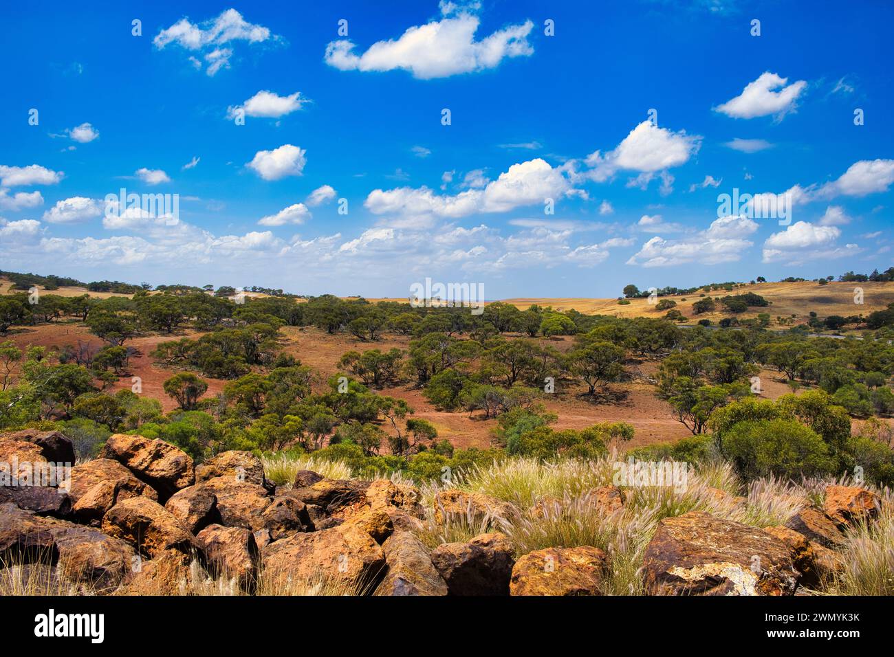 Paesaggio nella zona di transizione tra la cintura del grano dell'Australia Occidentale e l'Outback, con alberi, campi e rocce sparse. Grande Geraldton Foto Stock