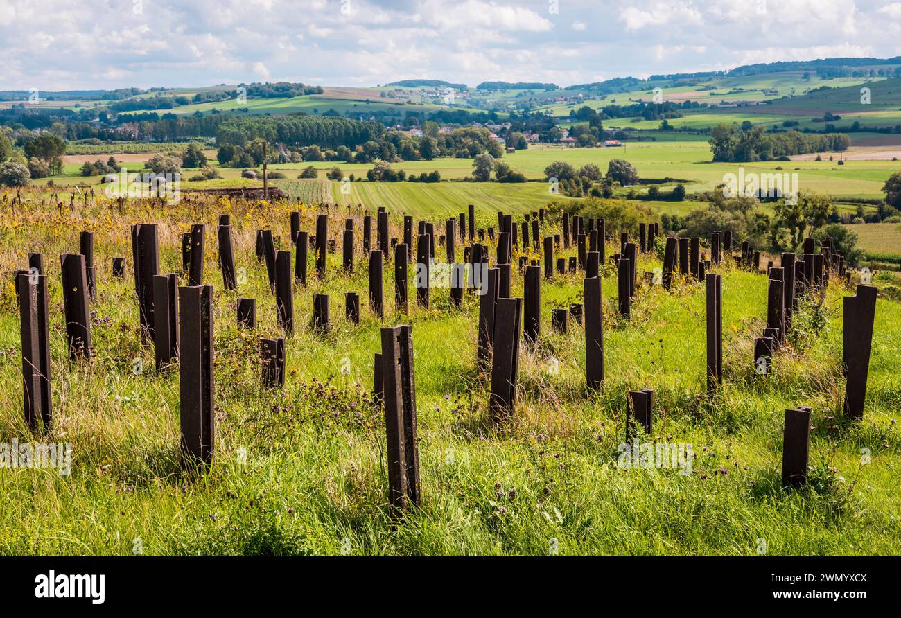 Ostacolo anticarro costituito da rotaie sull'ouvrage de la Ferté a Villy, in Francia, parte della linea Maginot costruita lungo il confine belga negli anni '30 Foto Stock