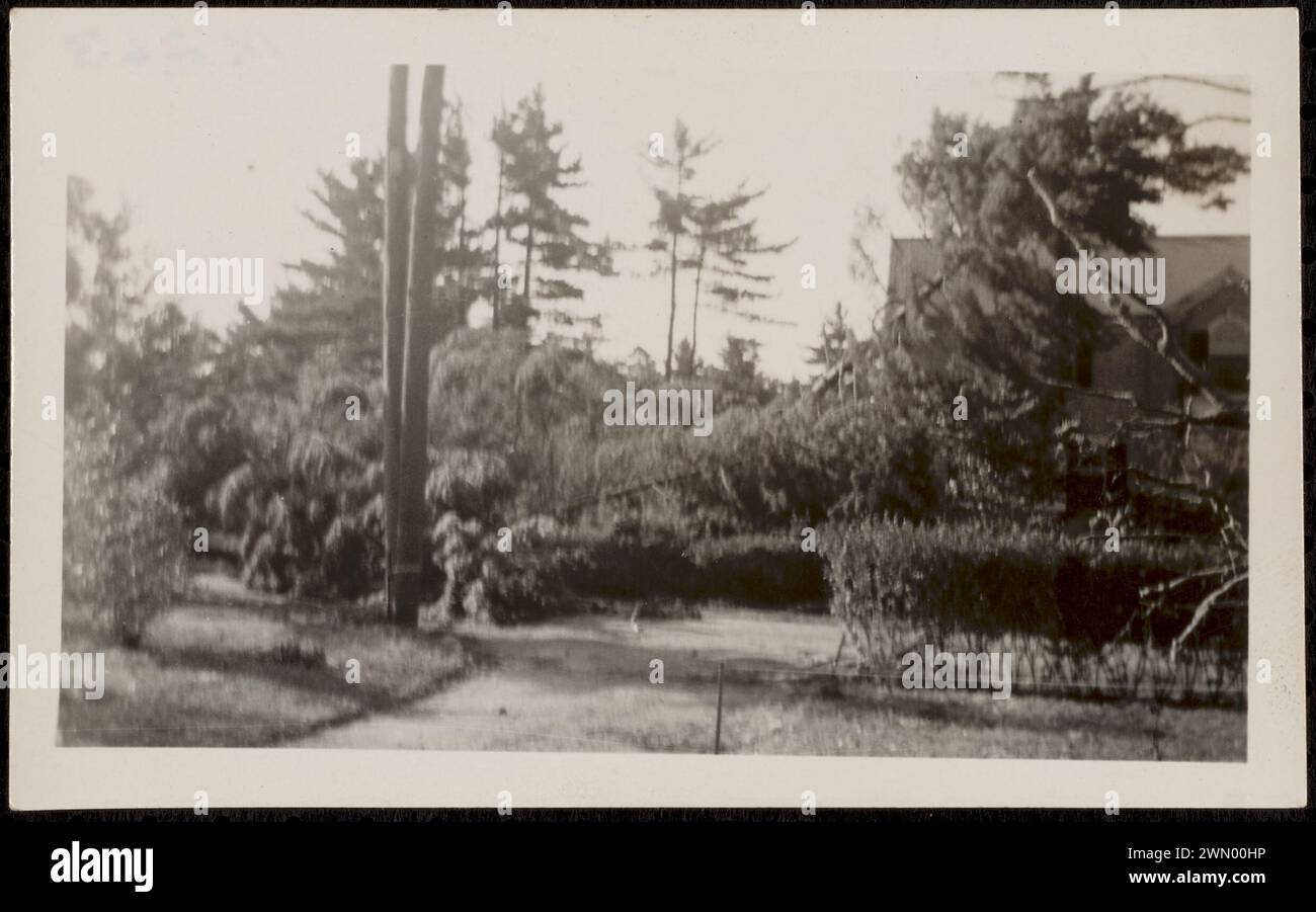New England Hurricane, 1938. New England Hurricane, 1938 Foto Stock