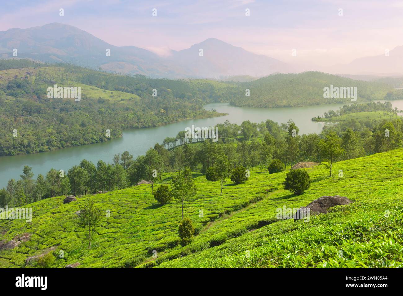 Ammira la lussureggiante piantagione di tè verde con il fiume che scorre sullo sfondo delle colline Kannan Devan, tutte sotto il cielo azzurro nebbioso a Munnar, India. Foto Stock