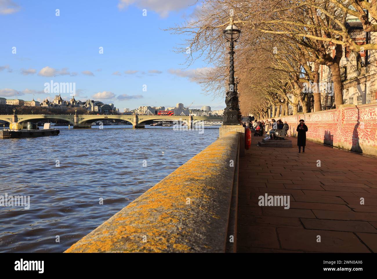 L'Albert Embankment sul fiume Tamigi di fronte alla camera del Parlamento in inverno al sole, Londra, Regno Unito Foto Stock
