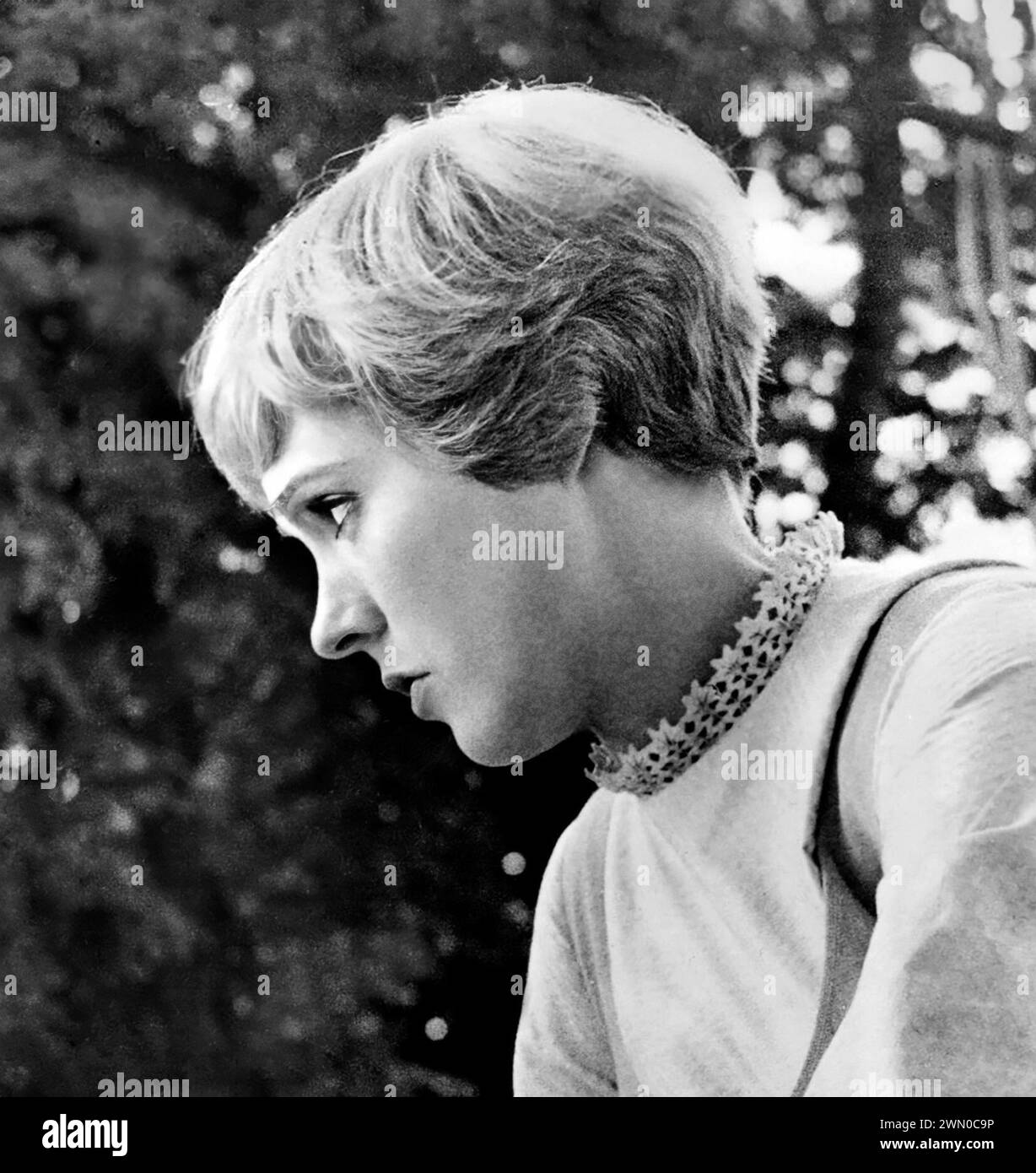 Julie Andrews. Ritratto dell'attrice e cantante inglese, Dame Julie Andrews (nata Julia Elizabeth Wells; 1935), 1964 Foto Stock