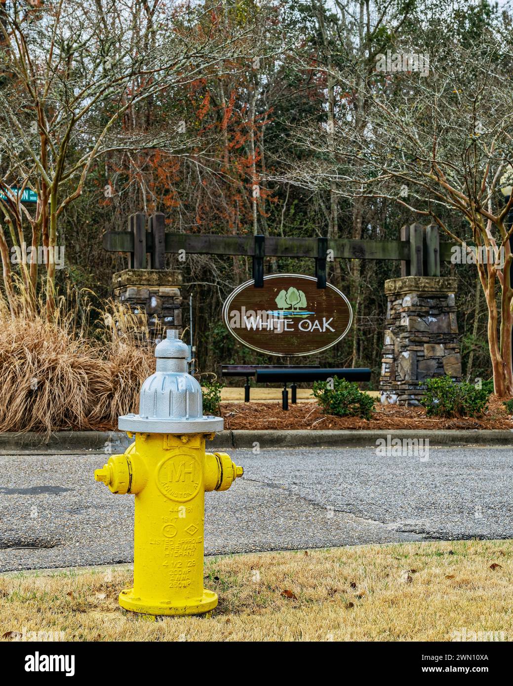 Idrante giallo in una strada, usato per combattere gli incendi, all'ingresso di un quartiere residenziale in Alabama, USA. Foto Stock