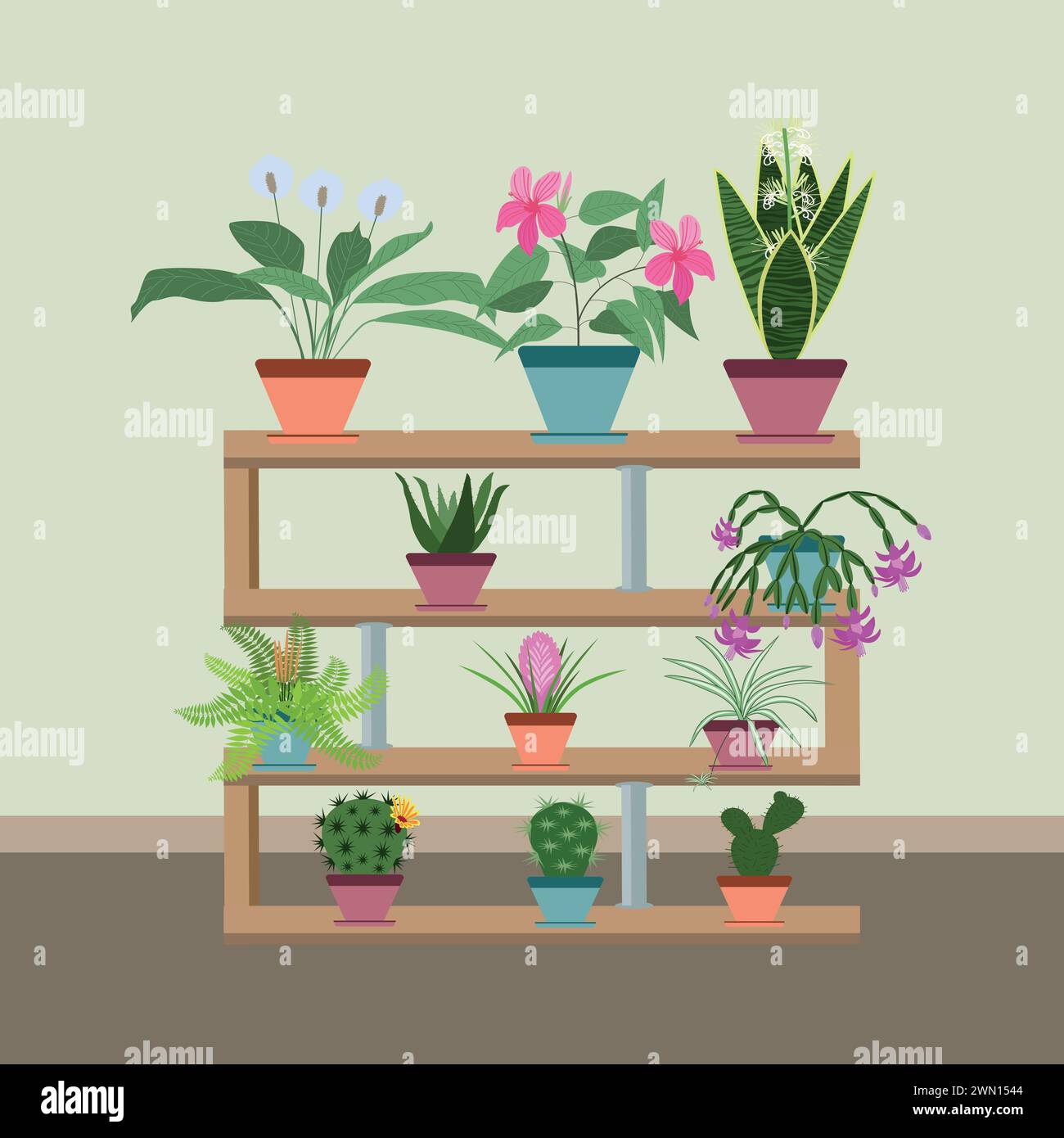 Interno con varie piante in vaso sugli scaffali. Design piatto. Illustrazione vettoriale Illustrazione Vettoriale