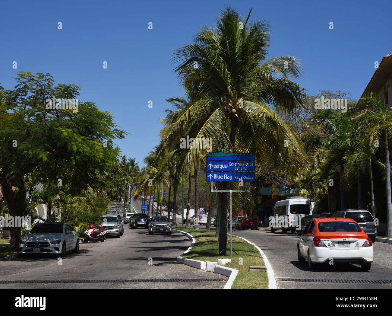 Traffico e palme lungo Boulevard Benito Juarez a Huatulco, Oaxaca, Messico Foto Stock