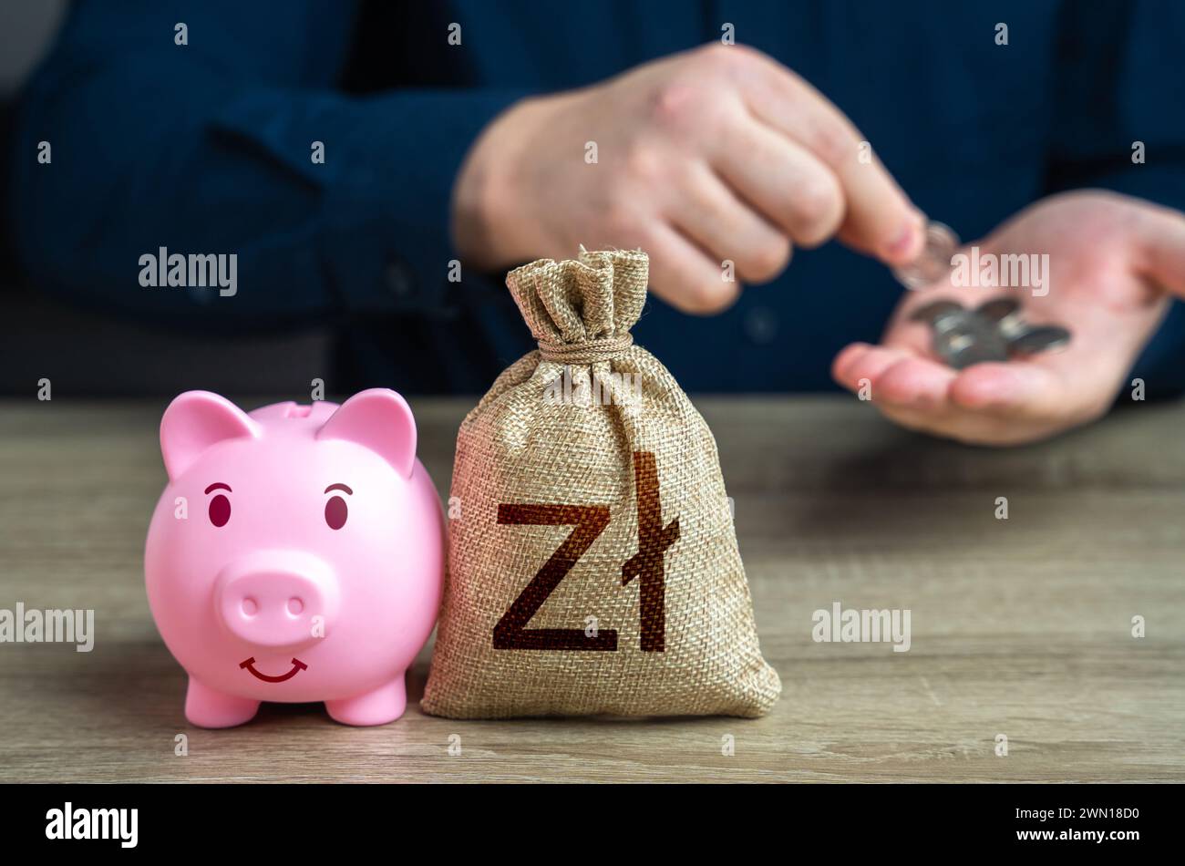 Accumulo di denaro. Mettere monete zloty polacche in un salvadanaio. Banche e finanza. Gestione dei risparmi. Investimenti, raccolta fondi. Risparmi e accumuli Foto Stock