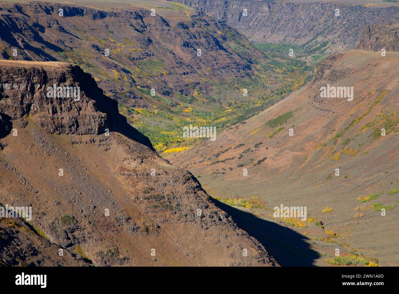 Grande Gola indiano, Steens Mountain gestione di cooperative e di area di protezione, Steens Mountain Backcountry Byway, Oregon Foto Stock