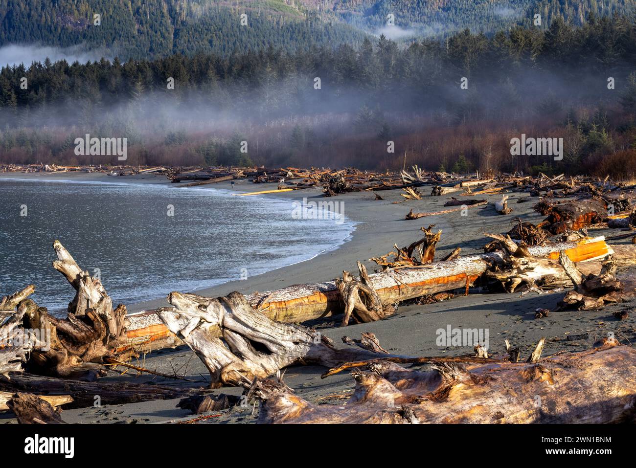 Pacheedaht Beach sulla First Nation Reserve di Port Renfrew, Isola di Vancouver, Columbia Britannica, Canada Foto Stock