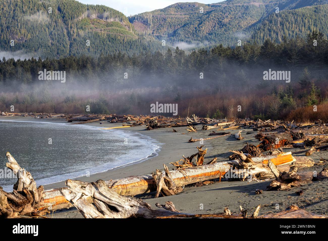 Pacheedaht Beach sulla First Nation Reserve di Port Renfrew, Isola di Vancouver, Columbia Britannica, Canada Foto Stock