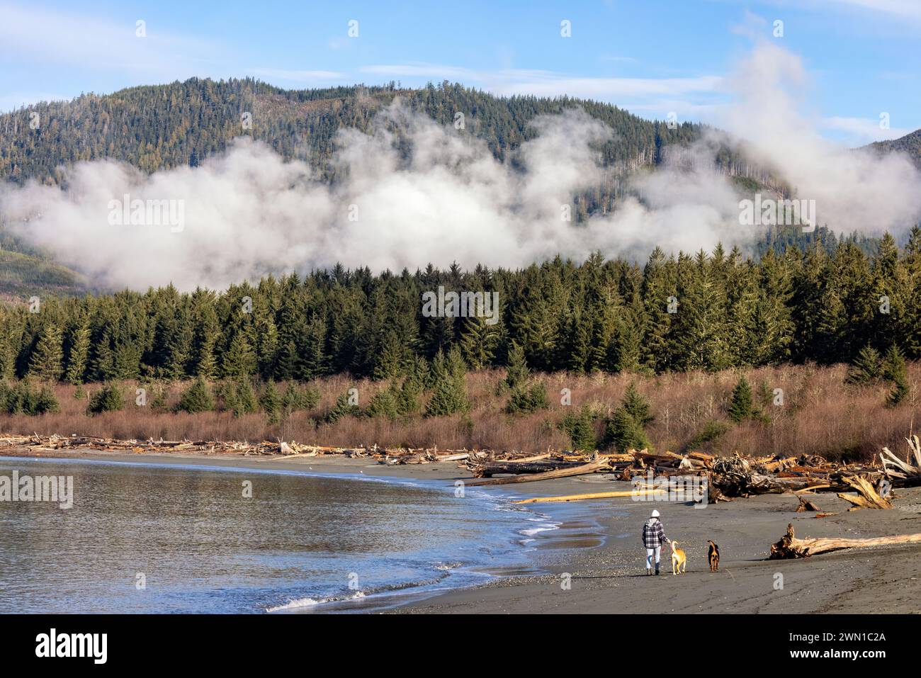 Donna che cammina con i cani sulla spiaggia di Pacheedaht, nella First Nation Reserve di Port Renfrew, Vancouver Island, British Columbia, Canada Foto Stock