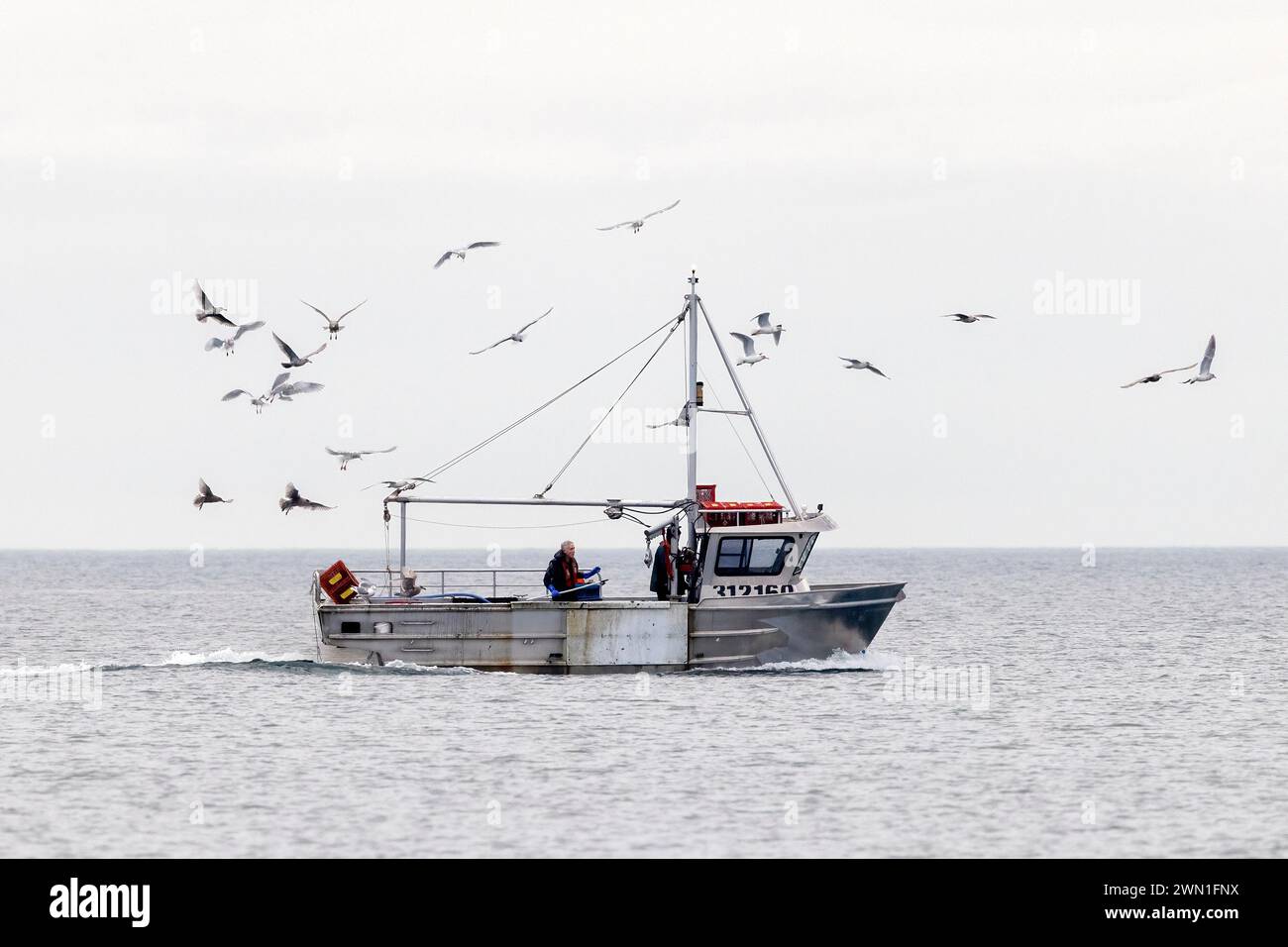 Peschereccio da traino nello stretto di Juan de Fuca - Victoria, Isola di Vancouver, Columbia Britannica, Canada Foto Stock