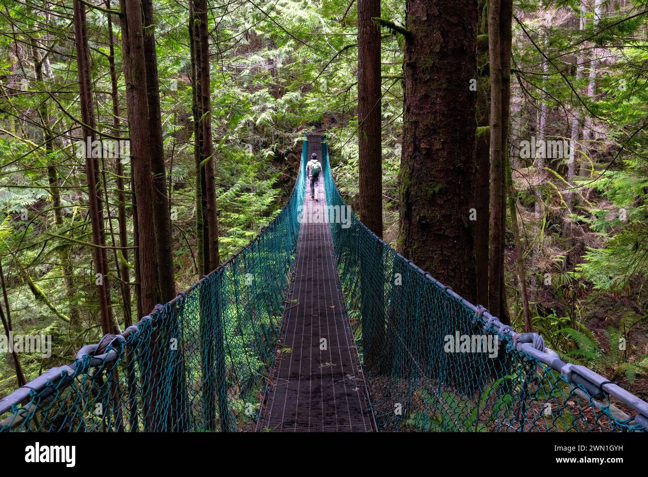 Fai un'escursione sul ponte sospeso sopra Pete Wolfe Creek sul sentiero per Mystic Beach - Sooke, Isola di Vancouver, Columbia Britannica, Canada Foto Stock