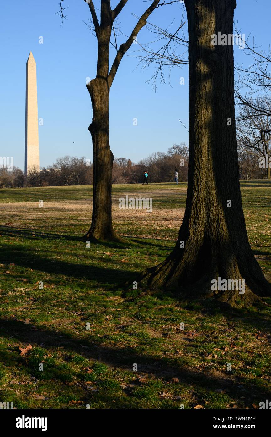 Il Washington Monument, DC Foto Stock