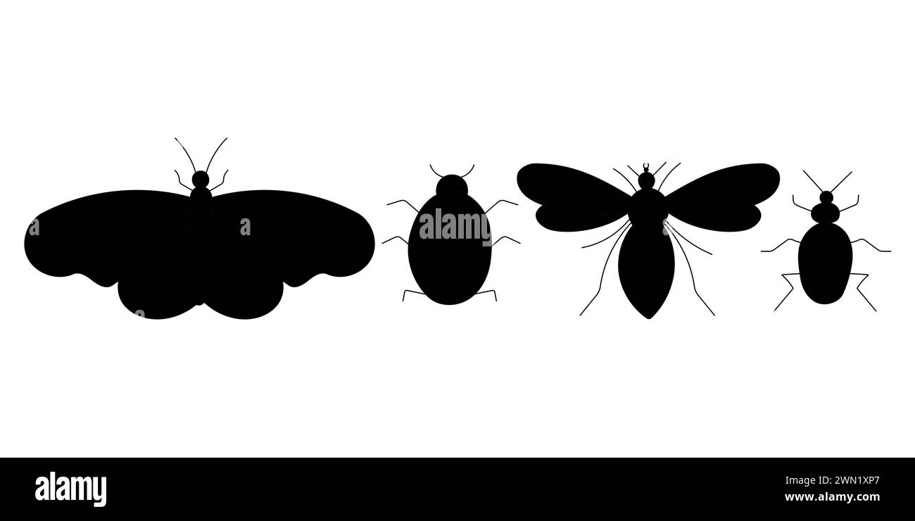 Set di elementi da giardino di insetti neri. Beetle Butterfly Bee Ladybug. Illustrazione vettoriale disegnata a mano. Per insegnare ai bambini. Protezione antiparassitaria. Gli animali li' Illustrazione Vettoriale