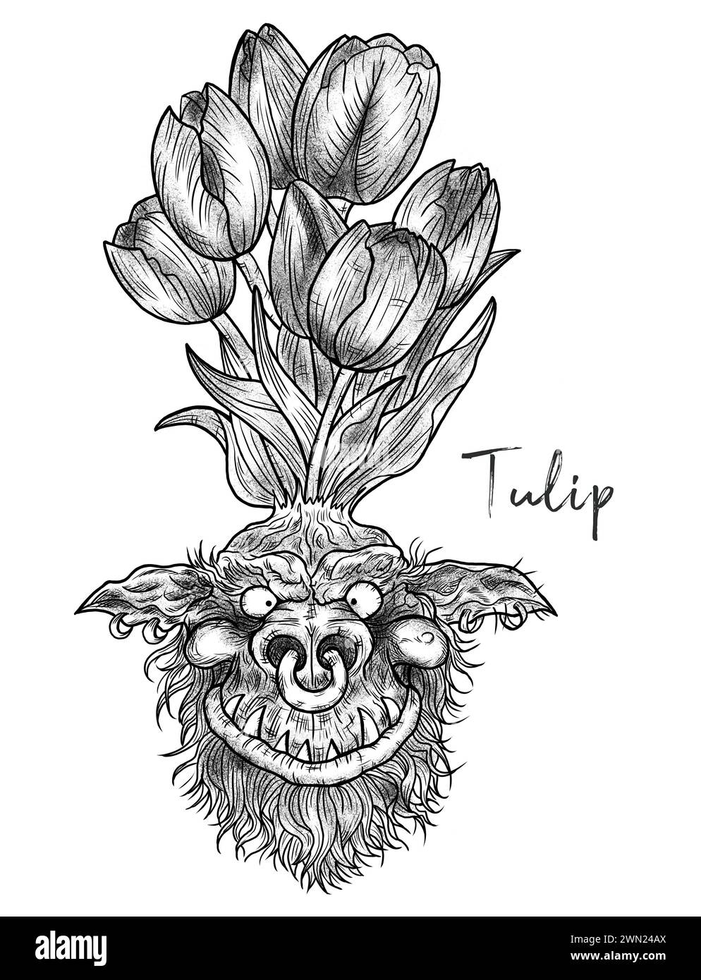 Illustrazioni incise disegnate a mano con simpatico volto demoniaco o gnomo come radice del bellissimo fiore primaverile di Tulip isolato su bianco, fantasia da giardino e myt Foto Stock