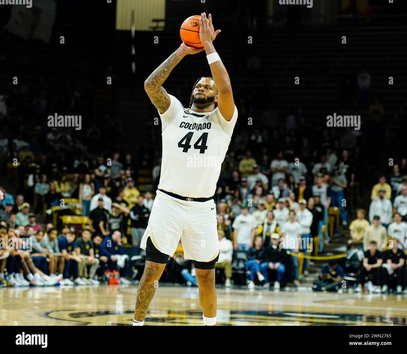 28 febbraio 2024: Il centro dei Colorado Buffaloes Eddie Lampkin Jr. (44) lancia un maglione nella seconda metà della partita di basket maschile tra Colorado e Cal al al centro Coors Events di Boulder, CO.. Derek Regensburger/CSM. Foto Stock