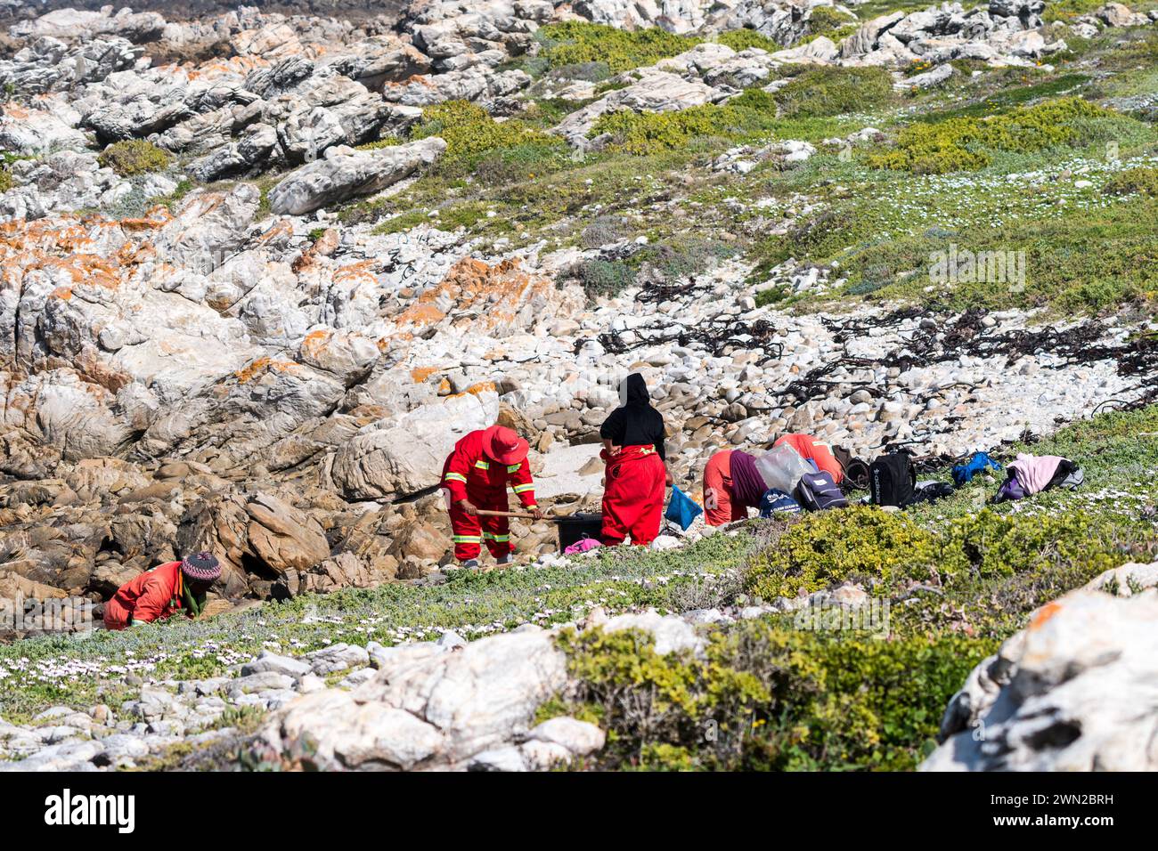 I lavoratori municipali che indossano tute puliscono una spiaggia nel Capo Occidentale, in Sudafrica, concetto di conservazione ambientale della natura Foto Stock
