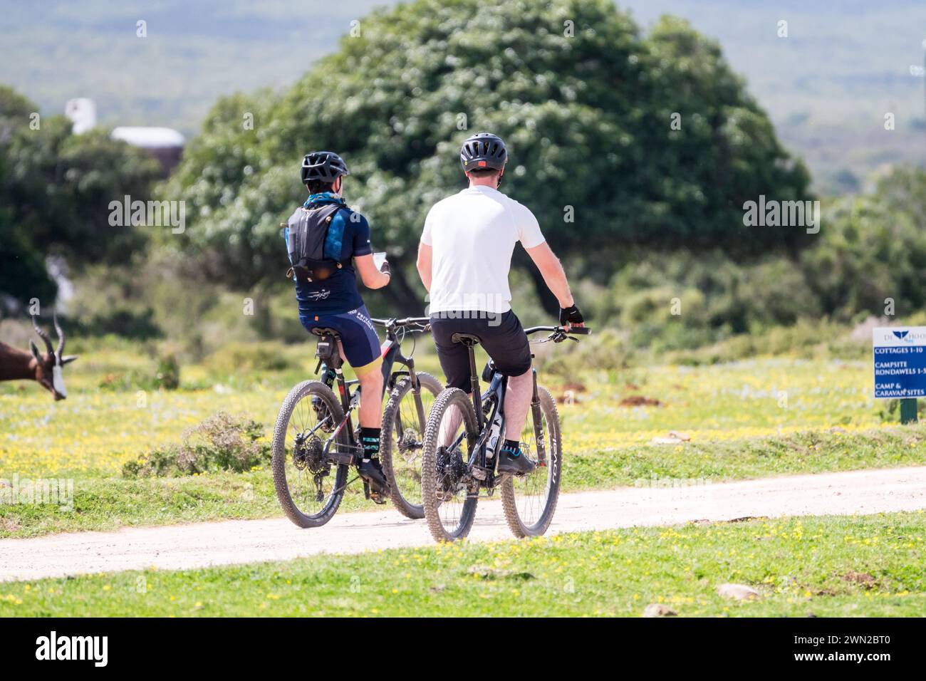 Ciclisti in MTB su un sentiero nella riserva naturale De Hoop, Capo Occidentale, Sud Africa concetto di viaggi e turismo, sport, attività ricreative e tempo libero Foto Stock