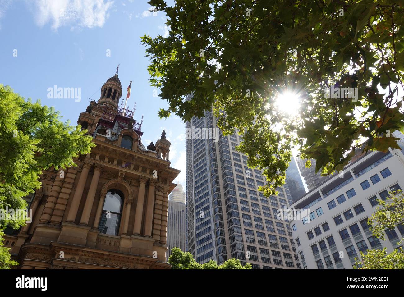 Vista esterna dell'edificio del Municipio di Sydney, un punto di riferimento storico a Sydney, Australia, che mostra la sua impressionante architettura e i dettagli intricati Foto Stock
