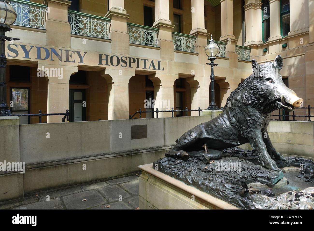La statua il Porcellino del Sydney Hospital è un punto di riferimento molto amato situato a Sydney, nuovo Galles del Sud, Australia. Una replica del famoso fiorentino Foto Stock