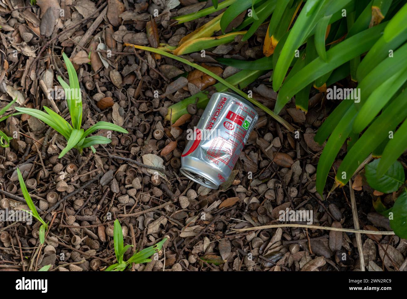 L'ironia di una bevanda analcolica in alluminio scartata può essere gettata in alcuni cespugli, con il testo "riciclarmi" chiaramente visibile. Foto Stock