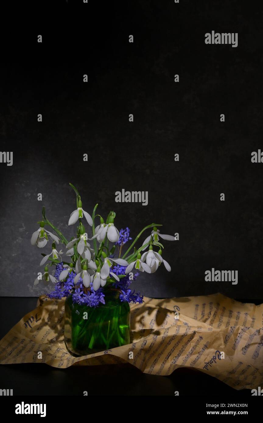 Abstract Snowdrops fiori in vaso sul tavolo nero Foto Stock