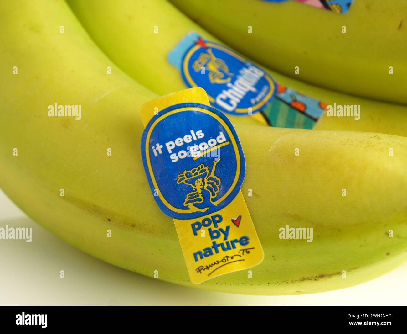 Logo e simbolo delle banane Chiquita Foto Stock