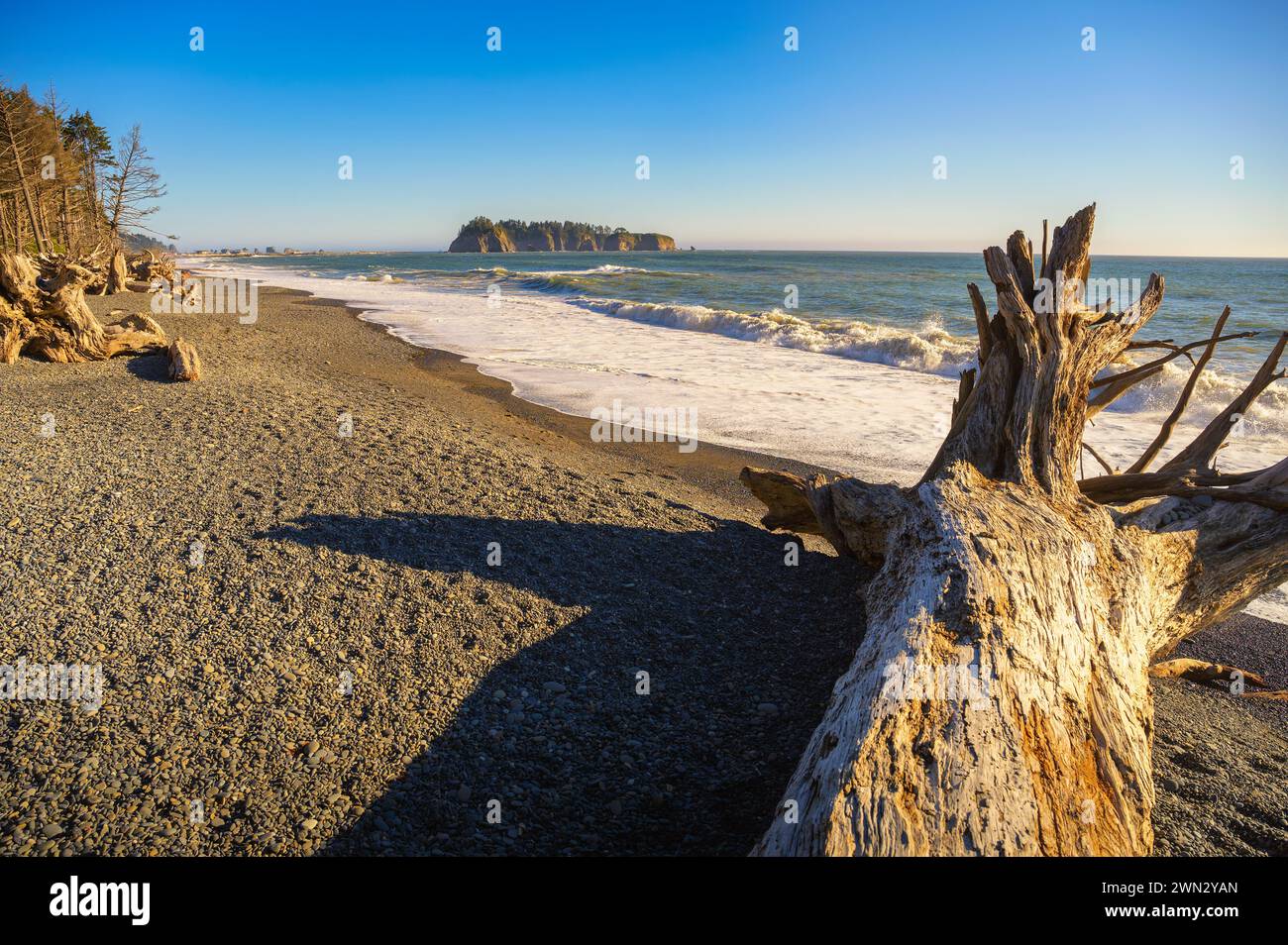 Spiaggia di Rialto con ciottoli e sabbia di ciottoli nello stato di Washington Foto Stock