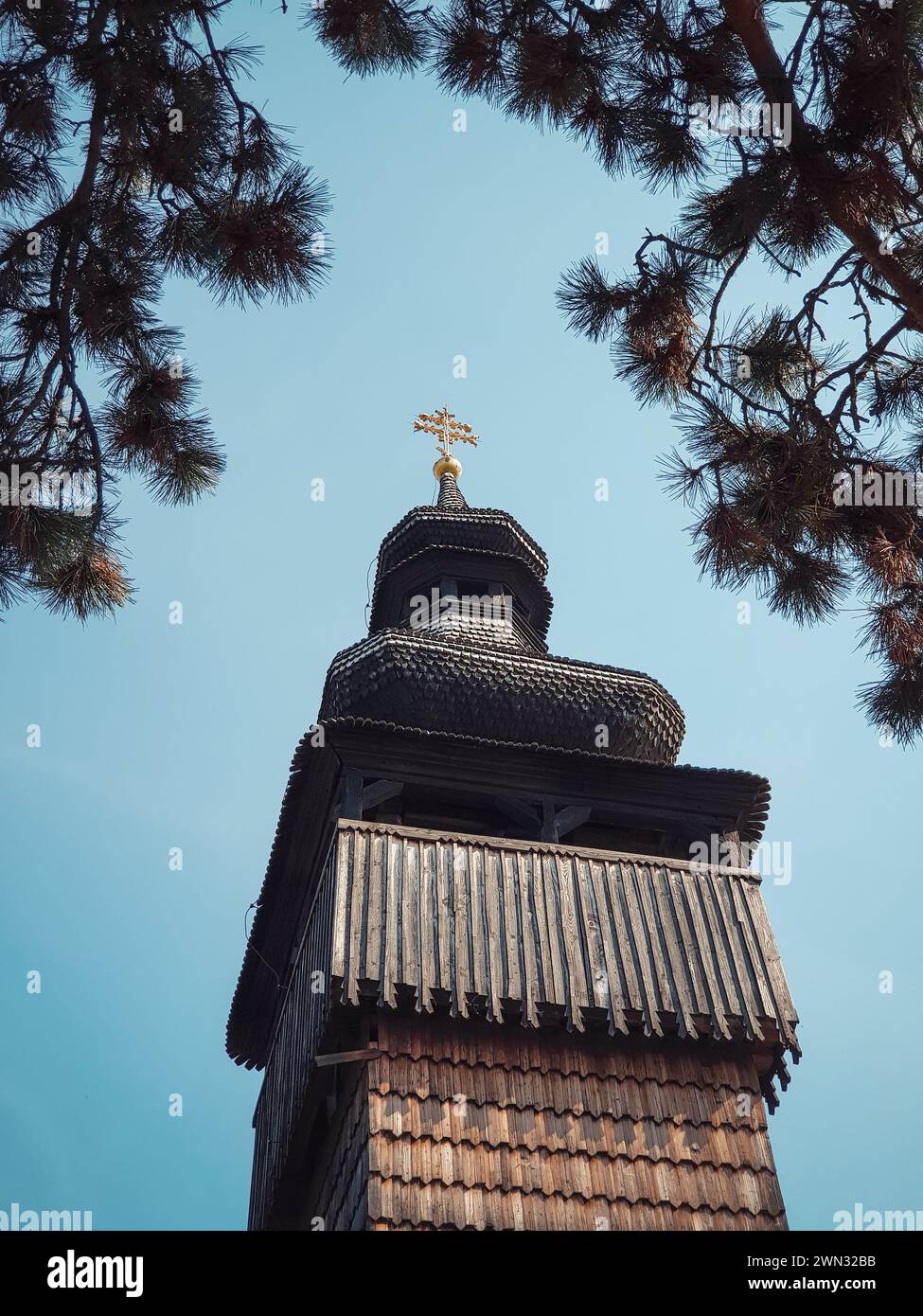 campanile della vecchia St Chiesa di San Michele nel Museo di architettura e vita popolare. Chiesa in legno nel museo tipo skansen incorniciata da rami di pino Foto Stock