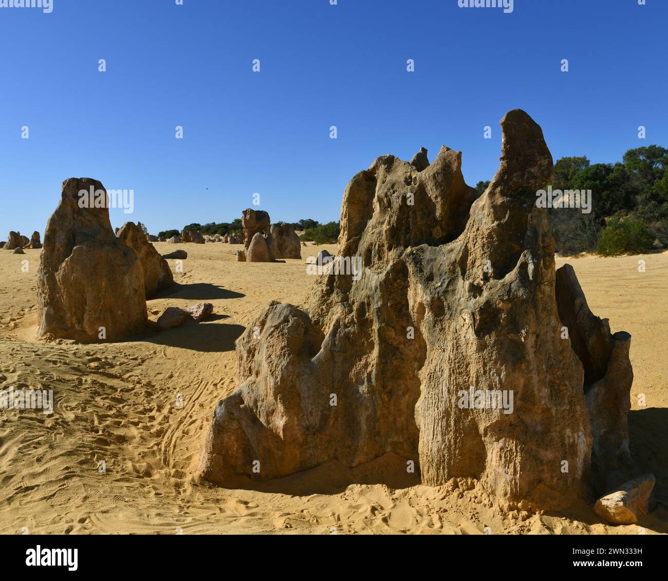 I pinnacoli, formazioni rocciose calcaree nel Nambung NP, Australia Occidentale Foto Stock