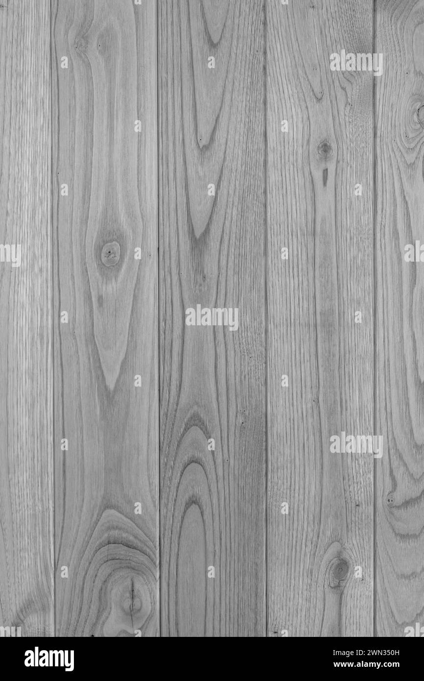 Pavimento in laminato di legno, fondo in legno ruvido grigio chiaro Foto Stock