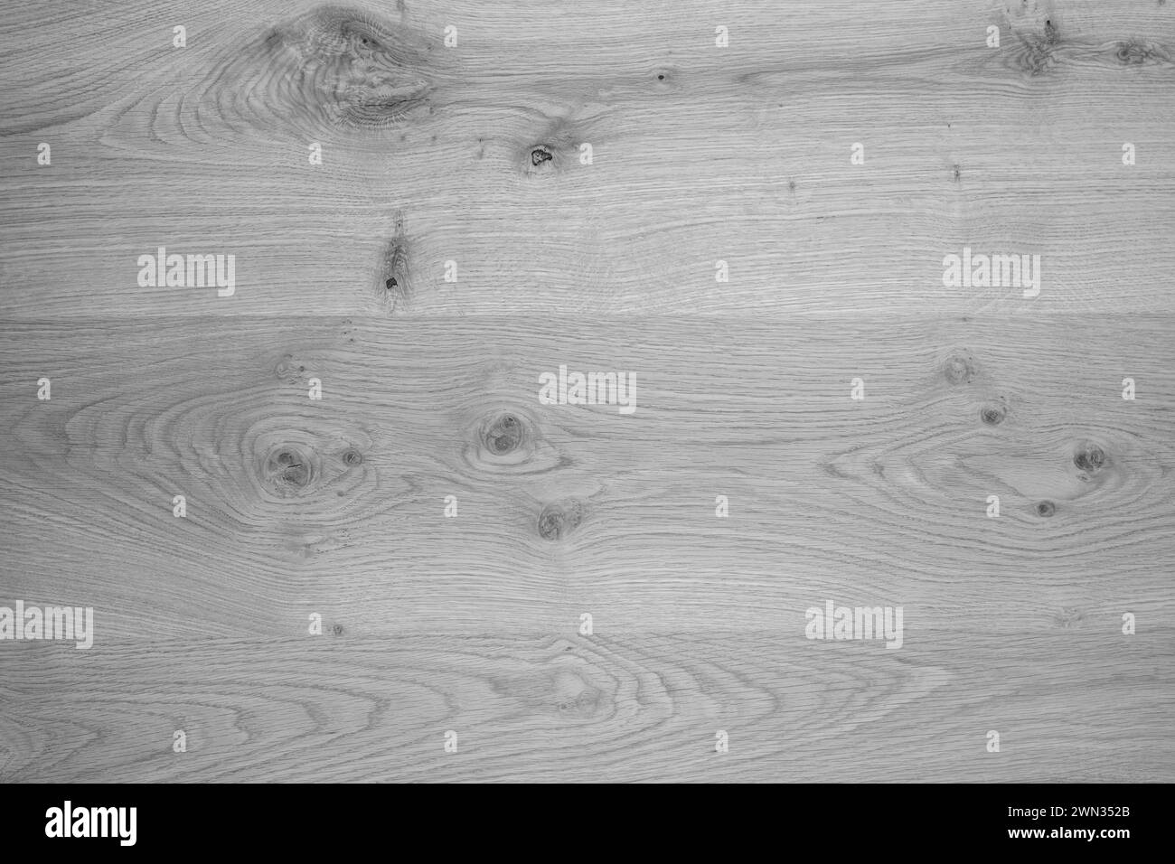 Pavimento in laminato di legno. Fondo in legno grigio chiaro con finitura a trama interna Foto Stock