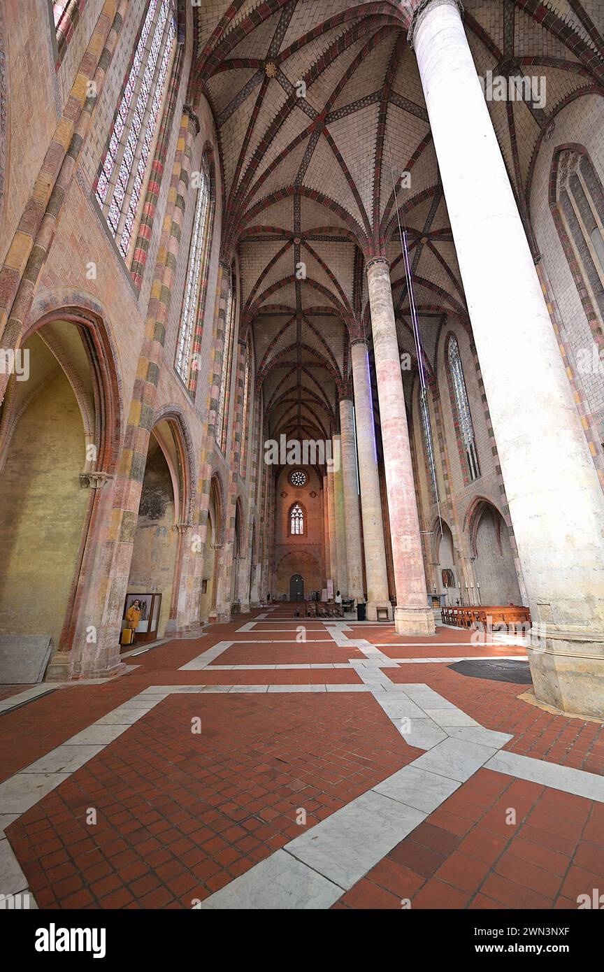 Interno della Chiesa dei Giacobini, con pilastri di navata che si estendono per 28 m verso l'alto per sostenere il tetto a volta gotica, Tolosa Foto Stock