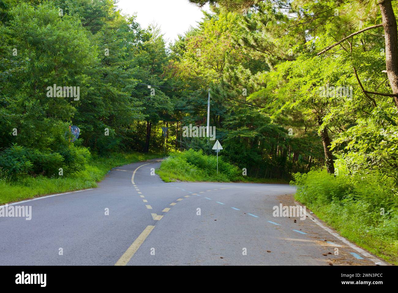 Contea di Yangyang, Corea del Sud - 30 luglio 2019: Vicino al 38th Parallel Pass, due strade divergono sotto il baldacchino di alberi verdi, una per veicoli e t Foto Stock