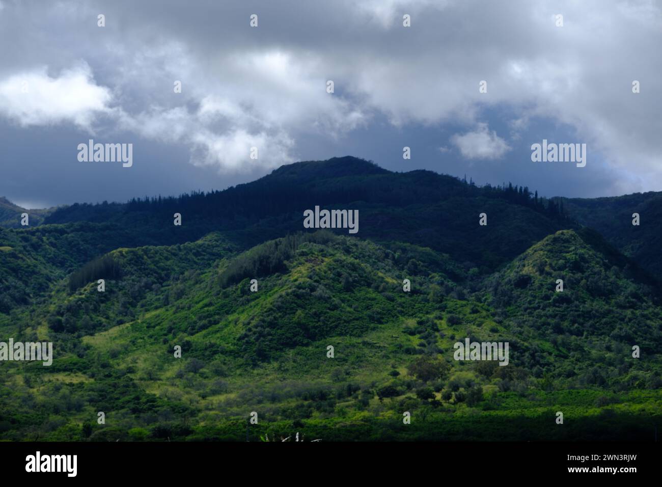 La vivace vista del paesaggio verde pendii Foto Stock