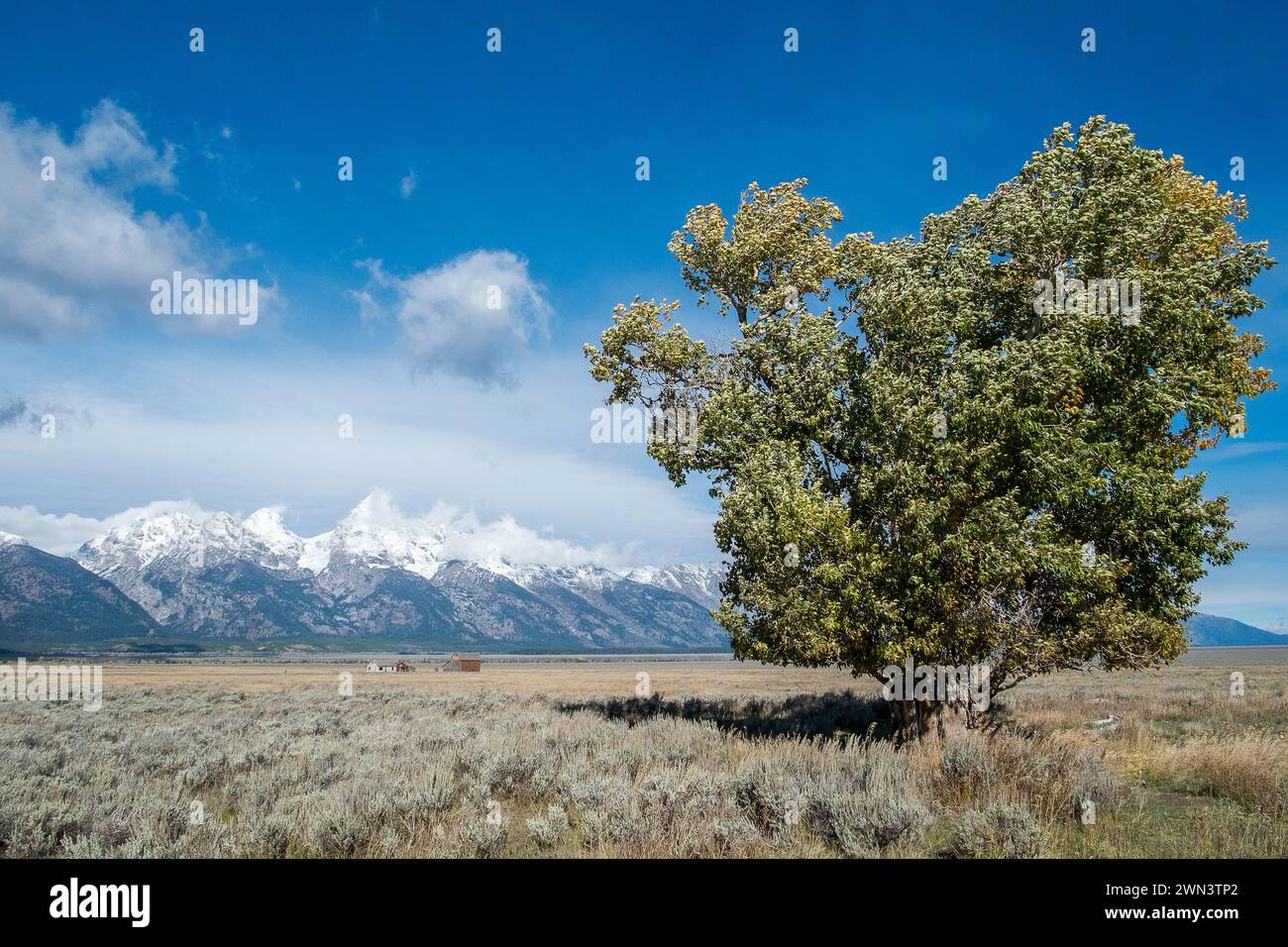 Antelope Flats e Mormon Row con la catena dei Teton sullo sfondo del Grand Teton National Park in autunno nel Wyoming. Foto Stock