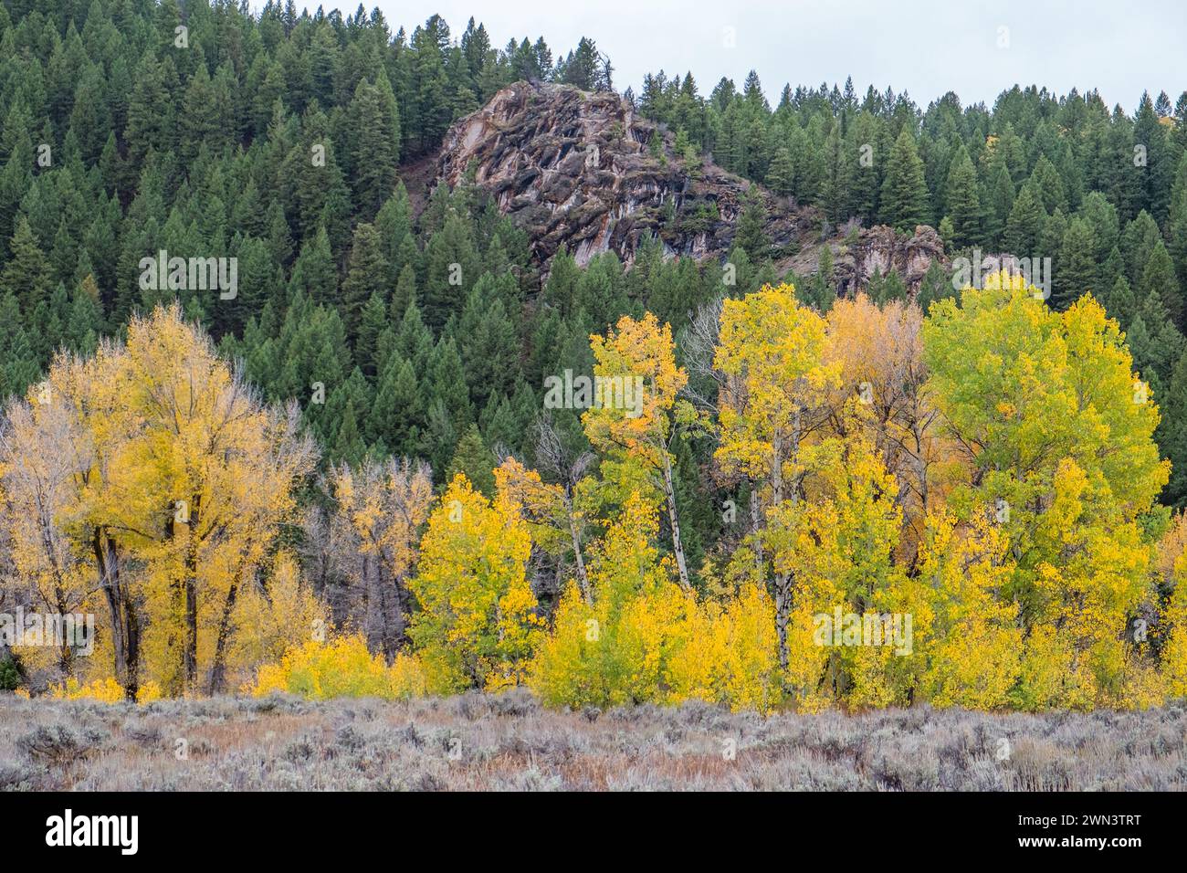 Grand Teton National Park in autunno nel Wyoming Foto Stock