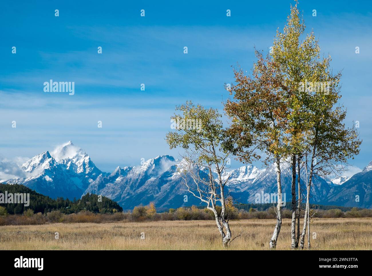 Grand Teton National Park in autunno nel Wyoming Foto Stock