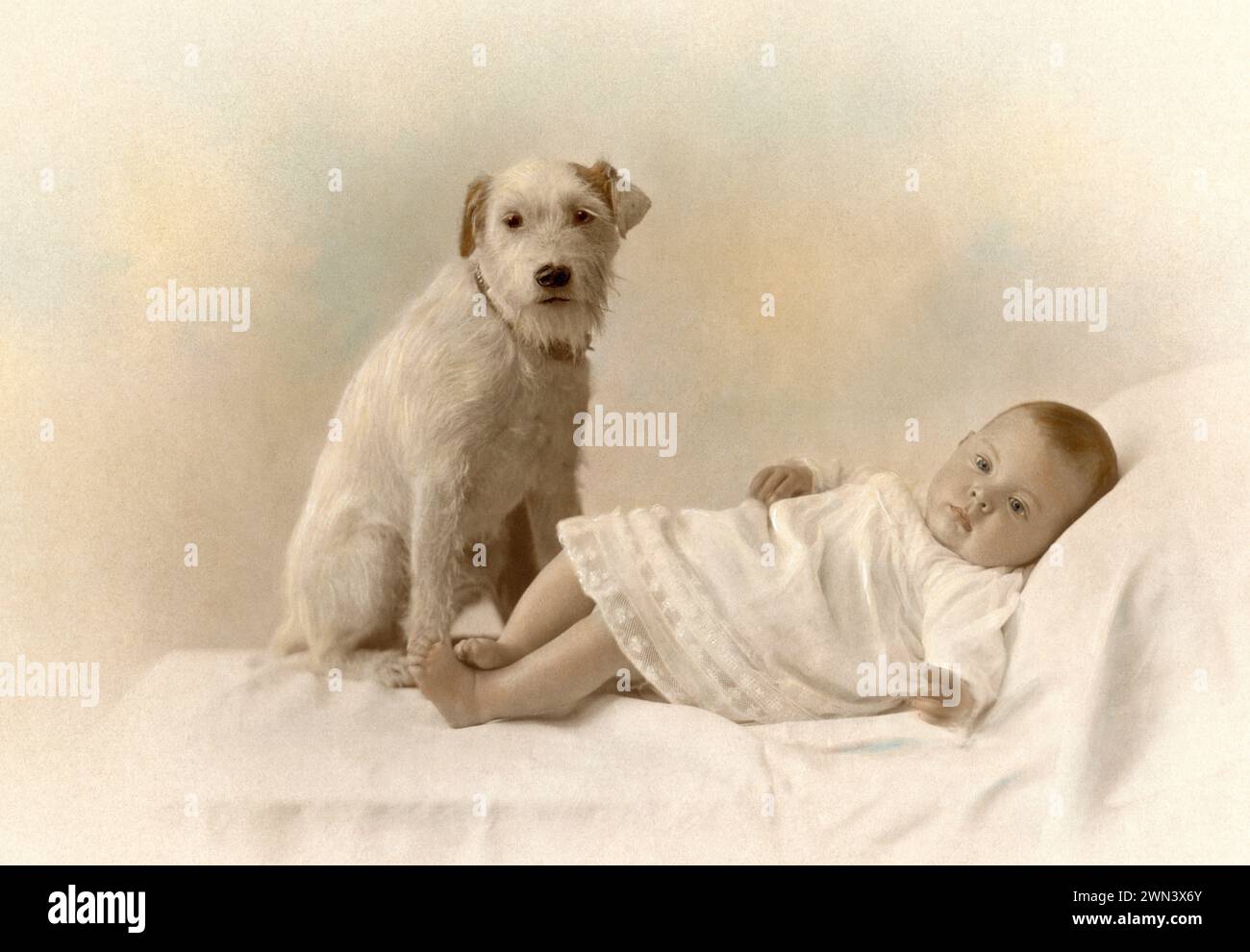 Bambino con il cane Foto Stock