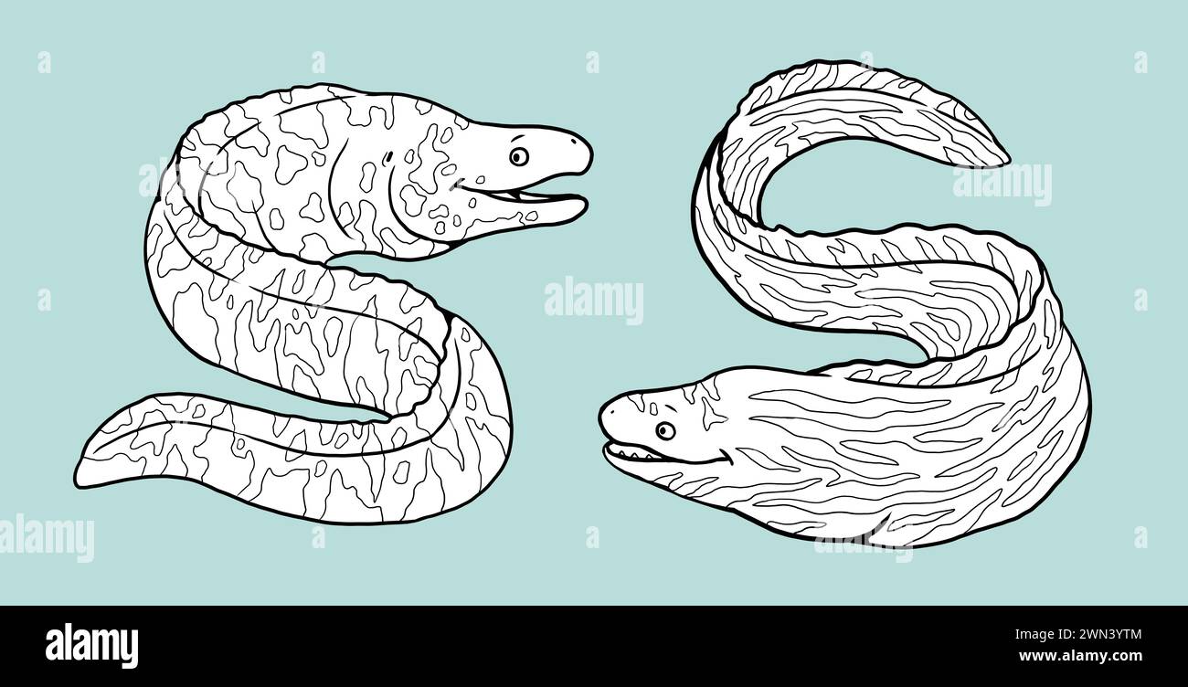 Divertente anguilla da colorare. Modello per un libro da colorare con pesci. Modello da colorare per bambini. Foto Stock
