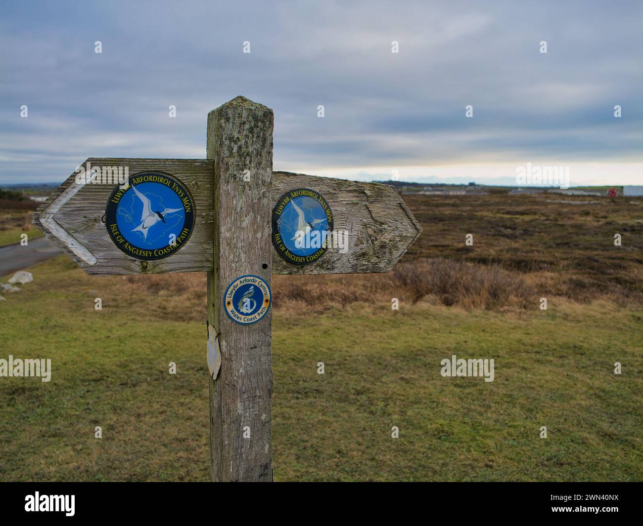 Anglesey, Regno Unito - 11 gennaio 2024: Un cartello in legno e intemperie che indica la strada per gli escursionisti sul sentiero della costa del Galles sull'isola di Anglesey nel Galles del Nord Foto Stock