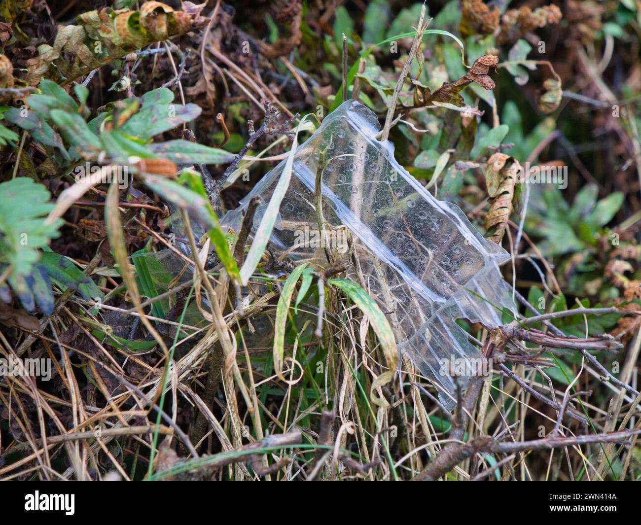 Imballaggi di plastica per alimenti scartati in un riccio ad Anglesey, Galles del Nord, Regno Unito. Foto Stock